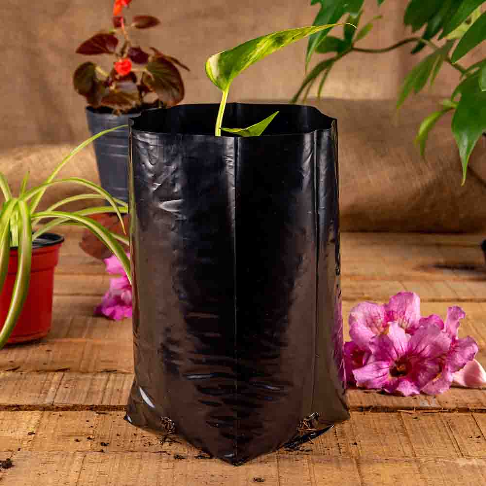 BOLSAS PLANTIN mE (BD - 70MIC - C/PERF - ARMADA 20X10X10) .2 LTS 20X25CM *100UNID