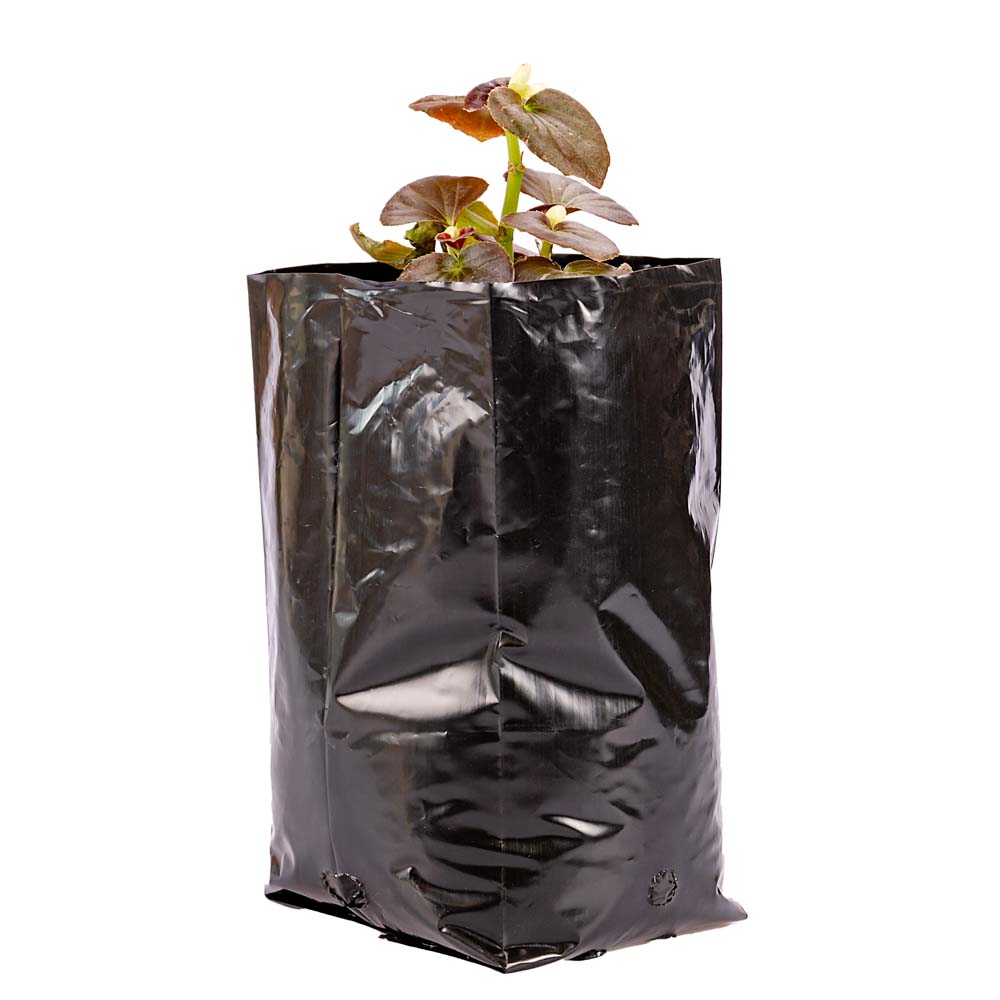 BOLSAS PLANTIN mE (BD - 70MIC - C/PERF - ARMADA 20X10X10) .2 LTS 20X25CM *100UNID