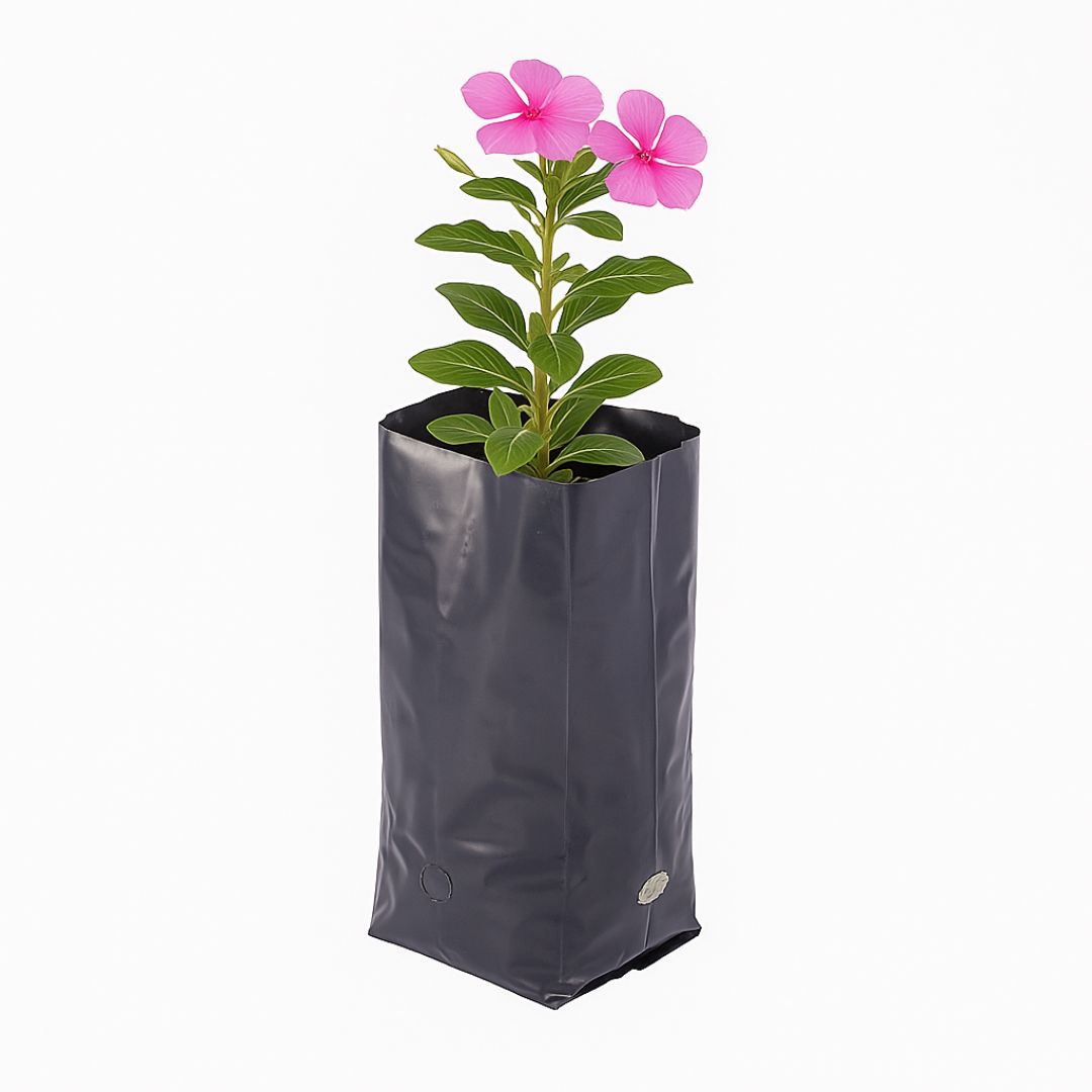 BOLSAS PLANTIN mE (BD - 70MIC - C/PERF - ARMADA 7X8X18) .1 LTS 16X22CM *100UNID