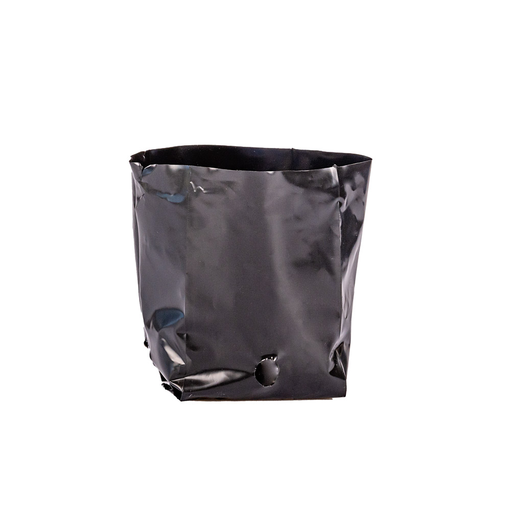 BOLSAS PLANTIN mE (BD - 70MIC - C/PERF - ARMADA 6X7X8,5) .0.35 LTS 12X12CM *100UNID
