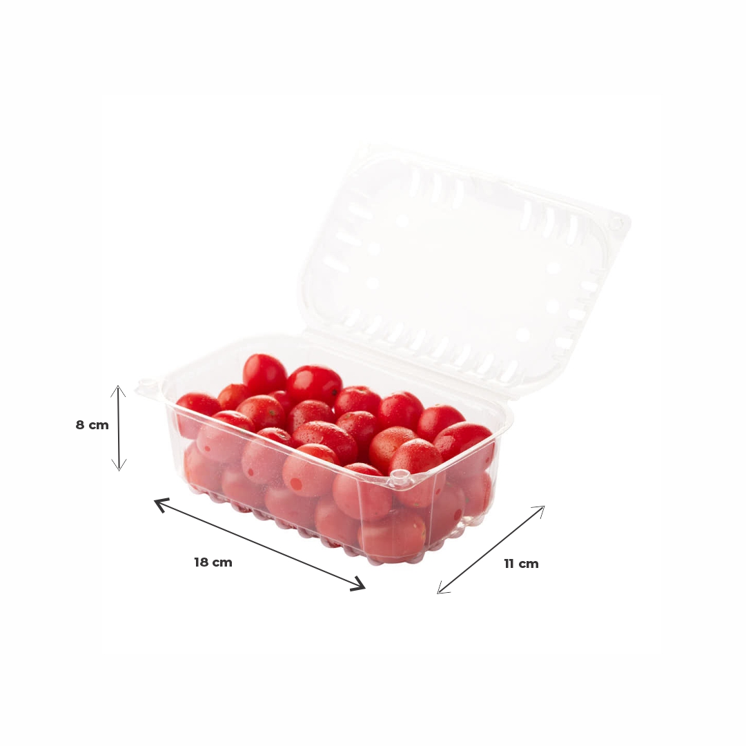 CUBETA FRUTIHORTICOLA CLAMSHELL 500GRS PET PERF. (M4380OLI) (18*11*8CM) *100 UNID.