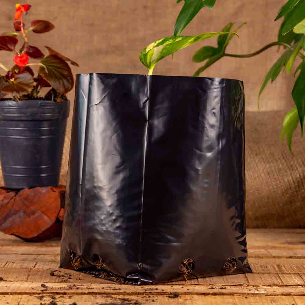 BOLSAS PLANTIN mE (BD - 70MIC - C/PERF - ARMADA 18X13X13) .3 LTS 25X25CM *100UNID