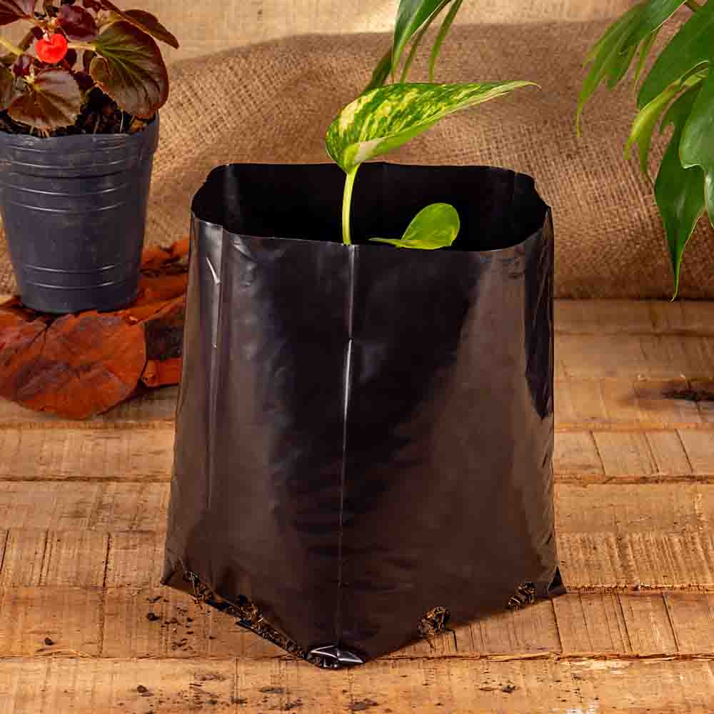 BOLSAS PLANTIN mE (BD - 70MIC - C/PERF - ARMADA 18X13X13) .3 LTS 25X25CM *100UNID