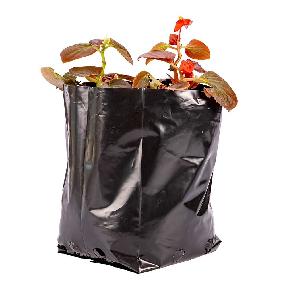 BOLSAS PLANTIN mE (BD - 70MIC - C/PERF - ARMADA 18X13X13) .3 LTS 25X25CM *100UNID
