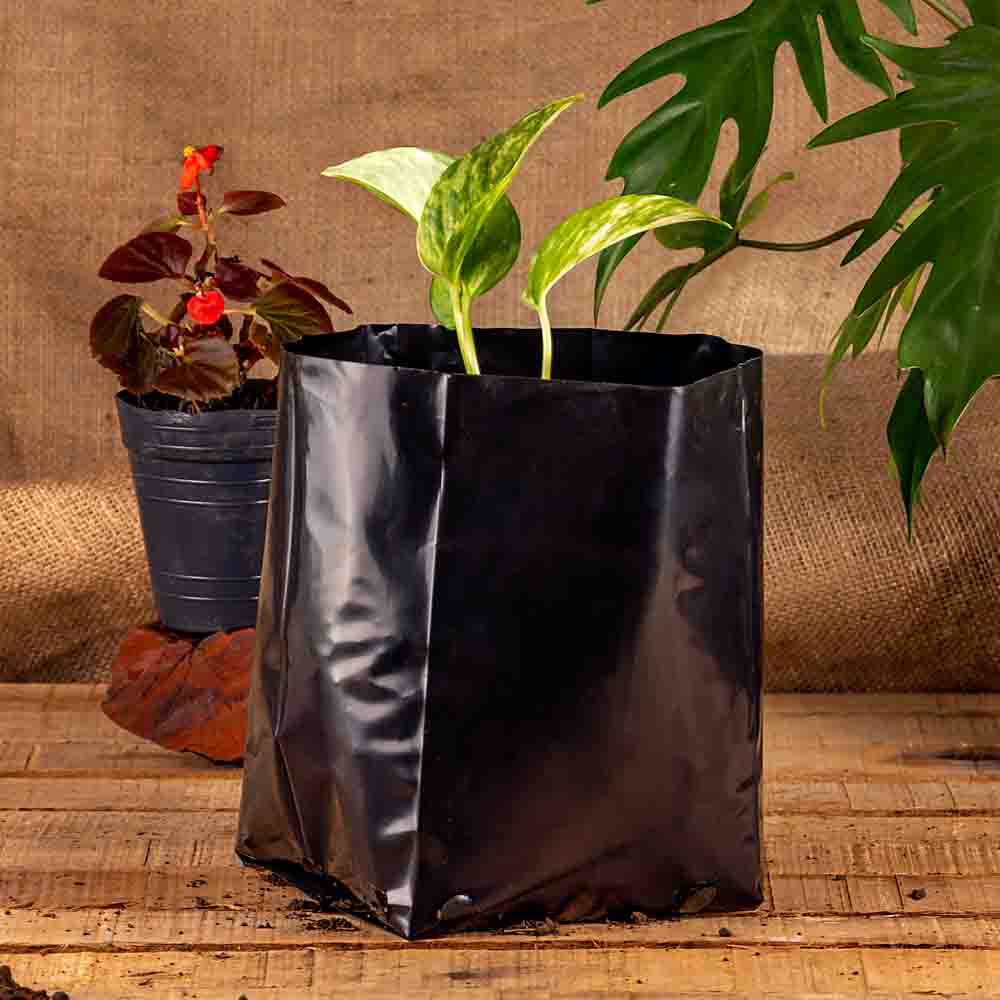 BOLSAS PLANTIN mE (BD - 90MIC - C/PERF - ARMADA 17X15X16) .4 LTS 30X26CM *50UNID
