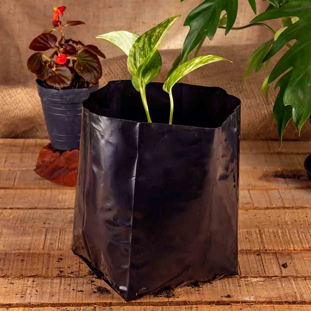 BOLSAS PLANTIN mE (BD - 90MIC - C/PERF - ARMADA 17X15X16) .4 LTS 30X26CM *50UNID