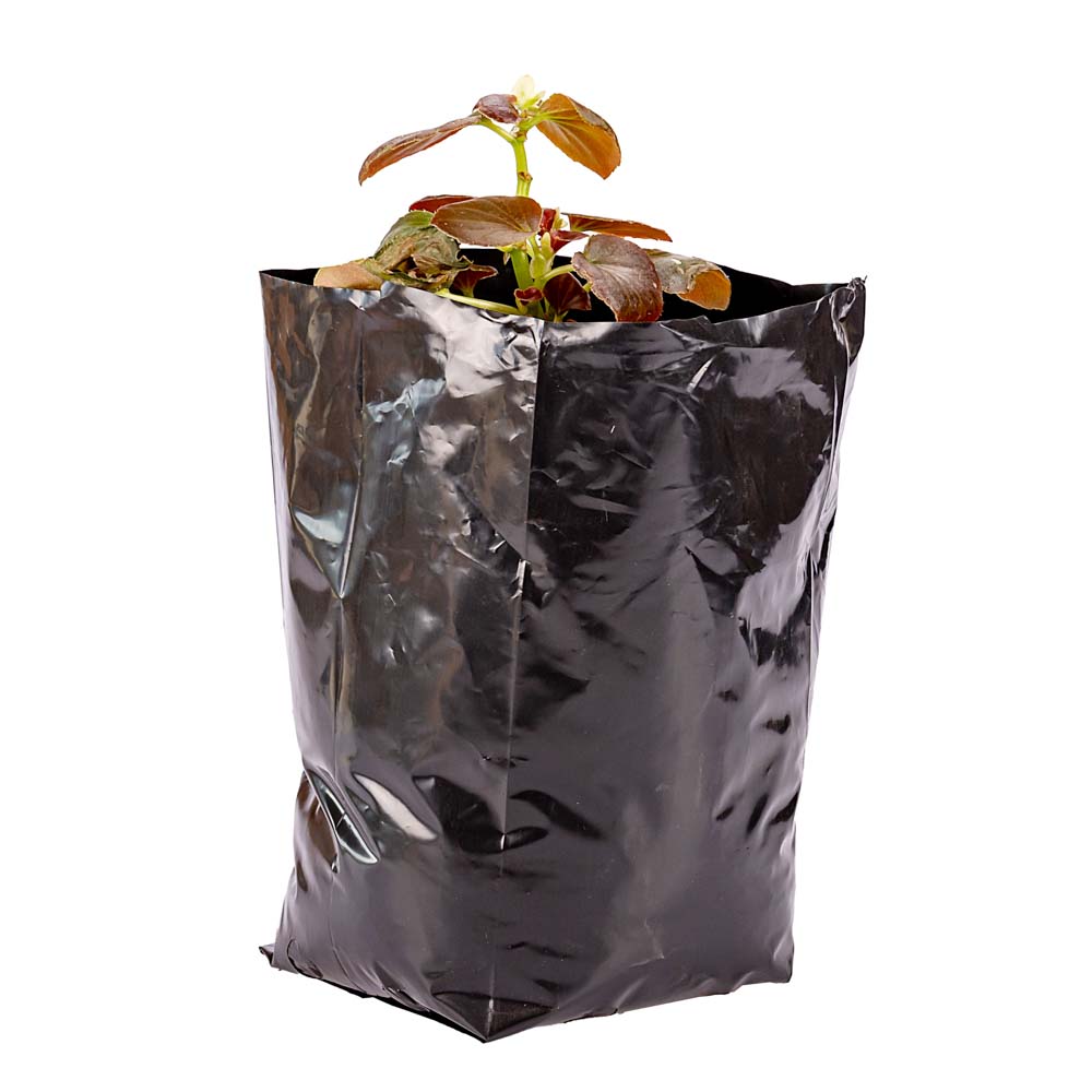 BOLSAS PLANTIN mE (BD - 90MIC - C/PERF - ARMADA 17X15X16) .4 LTS 30X26CM *50UNID