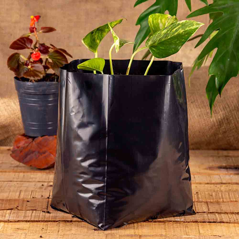 BOLSAS PLANTIN mE (BD - 90MIC - C/PERF - ARMADA 21X15X16) .5 LTS 30X30CM *50UNID