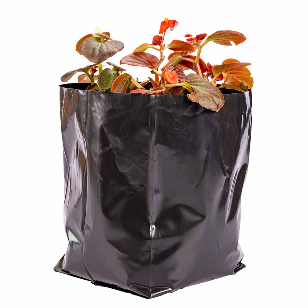 BOLSAS PLANTIN mE (BD - 90MIC - C/PERF - ARMADA 21X15X16) .5 LTS 30X30CM *50UNID