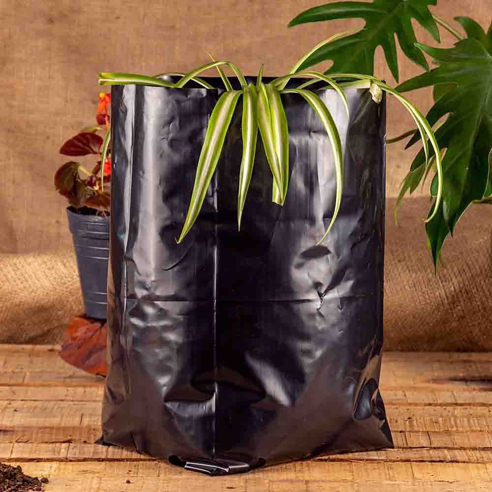 BOLSAS PLANTIN mE (BD - 90MIC - C/PERF - ARMADA 25X19X17) .8 LTS 35X36CM *50UNID