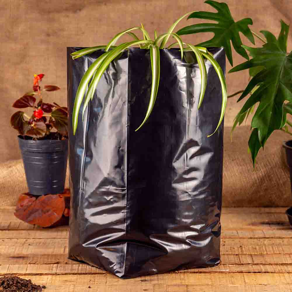 BOLSAS PLANTIN mE BD - 90MIC - C/PERF - ARMADA 31X19X17) 10 LTS 35X42CM *50UNID