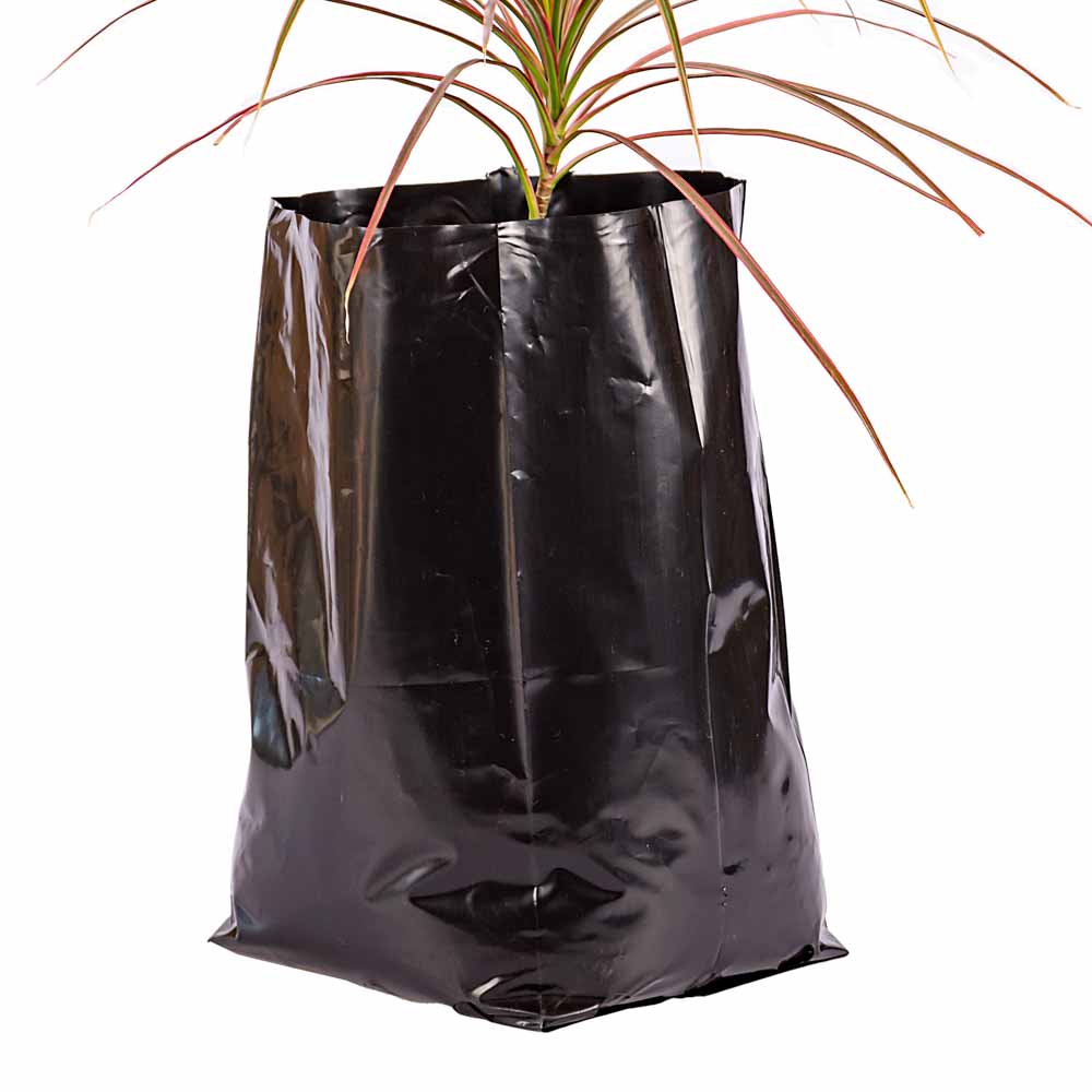 BOLSAS PLANTIN mE BD - 90MIC - C/PERF - ARMADA 31X19X17) 10 LTS 35X42CM *50UNID
