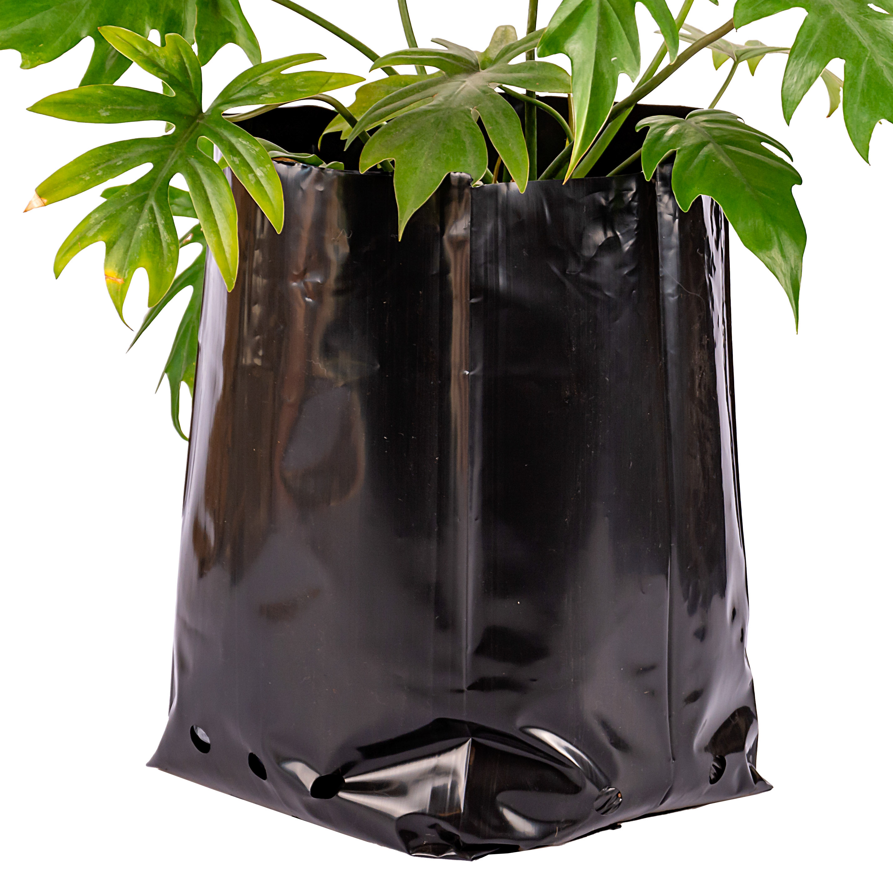 BOLSAS PLANTIN mE (BD - 100MIC - C/PERF - ARMADA 36X25X22) 20 LTS 50X50CM *25UNID
