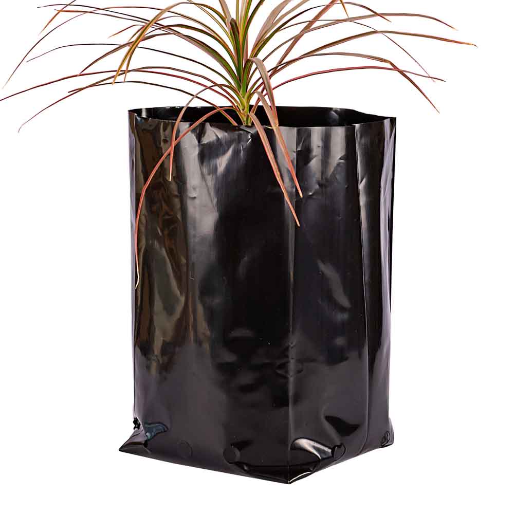 BOLSAS PLANTIN mE (BD - 100MIC - C/PERF - ARMADA 35X20X20) 14 LTS 40X48CM *25UNID