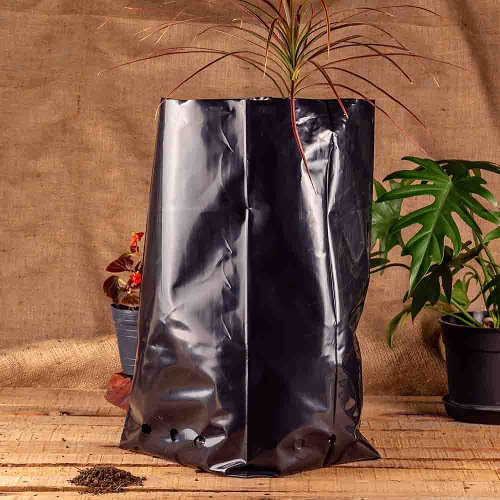 BOLSAS PLANTIN mE (BD - 100MIC - C/PERF - ARMADA 45X25X25) 25 LTS 50X59CM *25UNID
