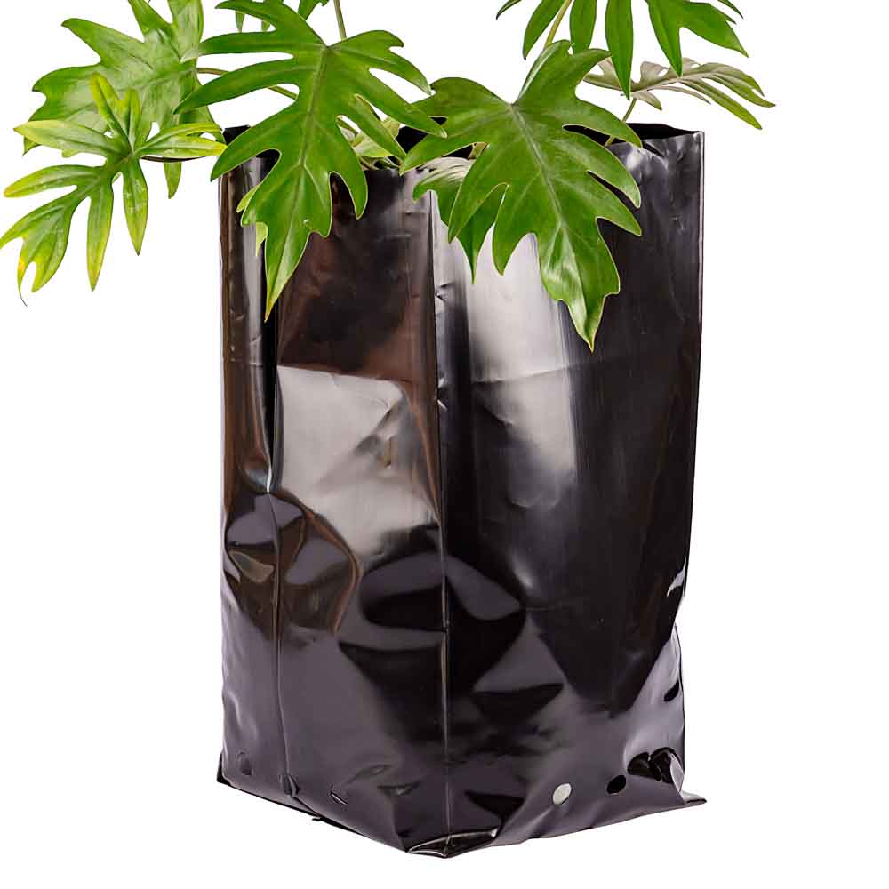 BOLSAS PLANTIN mE (BD - 100MIC - C/PERF - ARMADA 45X25X25) 25 LTS 50X59CM *25UNID