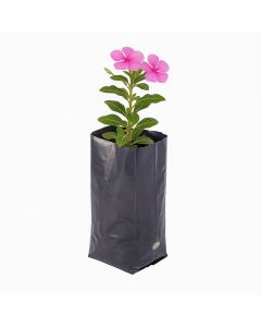 BOLSAS PLANTIN mE (BD - 70MIC - C/PERF - ARMADA 7X8X18) .1 LTS 16X22CM *100UNID
