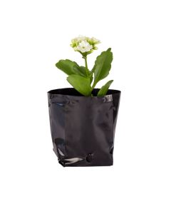 BOLSAS PLANTIN mE (BD - 70MIC - C/PERF - ARMADA 6X7X8,5) .0.35 LTS 12X12CM *100UNID