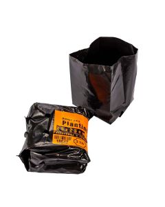 BOLSAS PLANTIN mE (BD - 70MIC - C/PERF - ARMADA 18X13X13) .3 LTS 25X25CM *100UNID